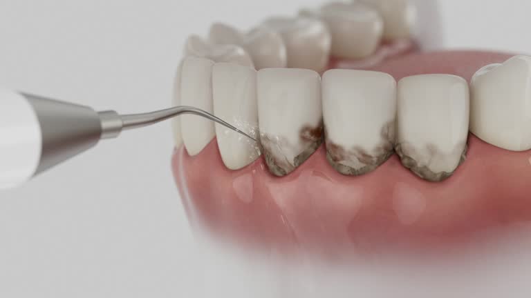 Reliable Dental contractor in Los Osos, CA by Dentist Open Now